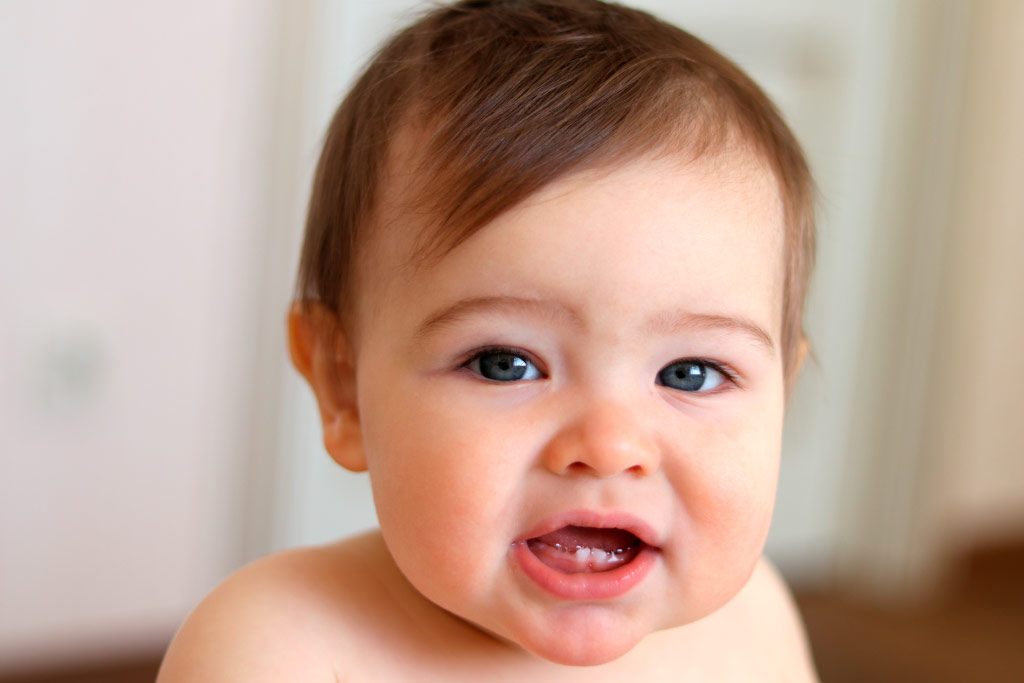 dentes de leite
